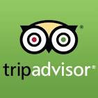 mstar-tripadvisor